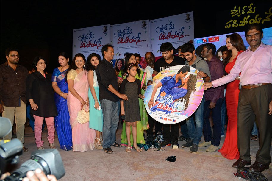 Pyaar-Mein-Padipoyane-Audio-Launch